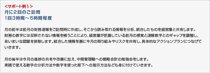 サポート例1。月に2回のご訪問、1回3時間~5時間程度。