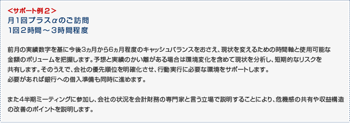 サポート例2。月1回プラスαのご訪問、1回2時間~3時間程度。