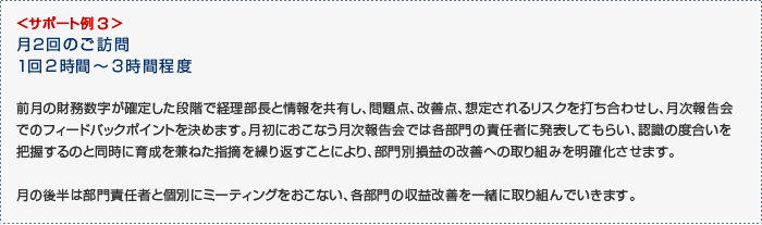 サポート例3。月2回のご訪問、1回2時間~3時間程度。